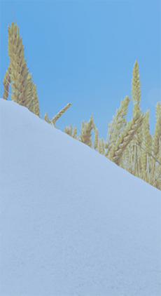 鹽糧產(chǎn)業(yè)