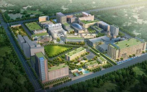 臣通觀點(diǎn)丨華夏幸福，誰(shuí)主沉浮？